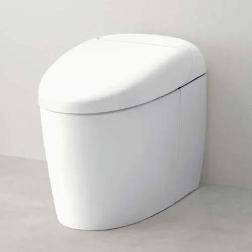 Bồn cầu nguyên khối TOTO CES9520