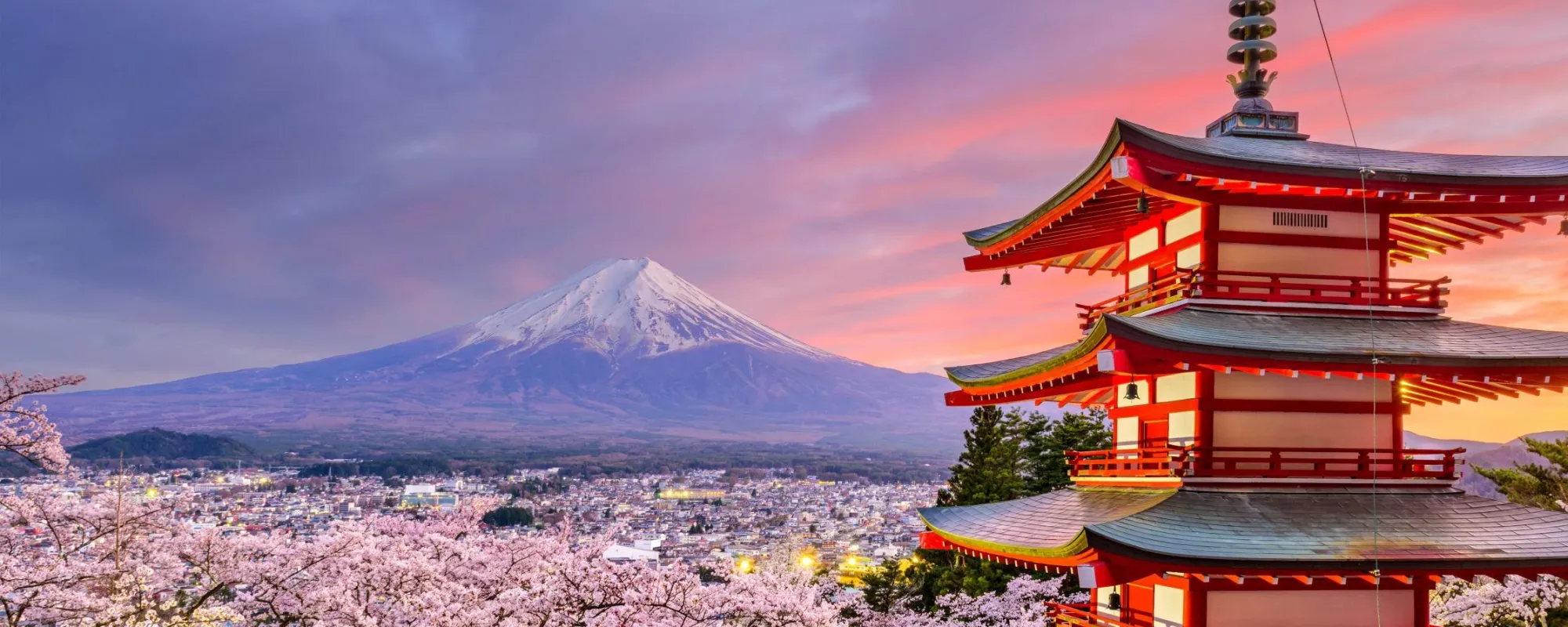 Home - Hàng Nhật JPTATO slider image